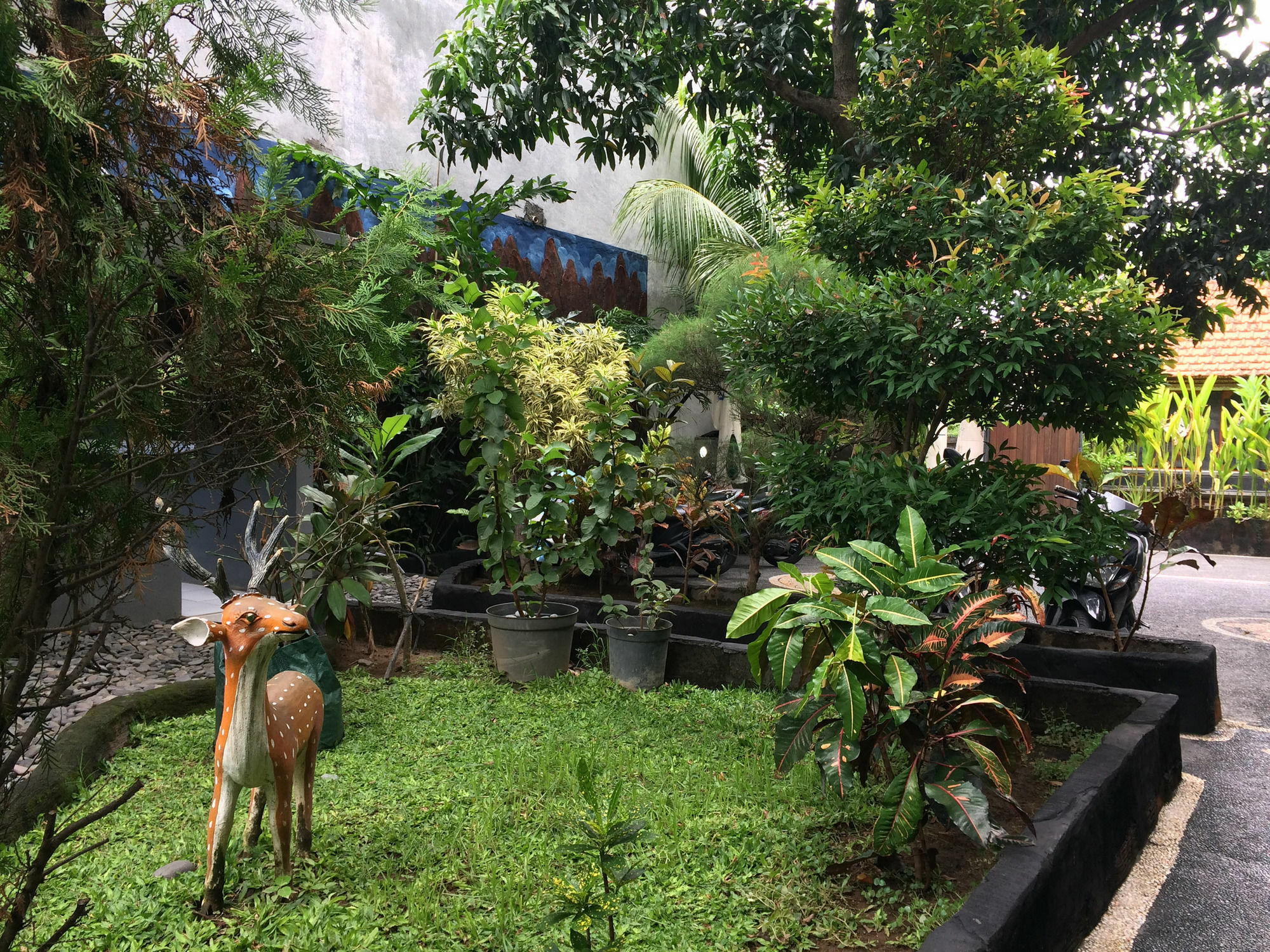 Jenny Bunker Homestay 庫塔 外观 照片
