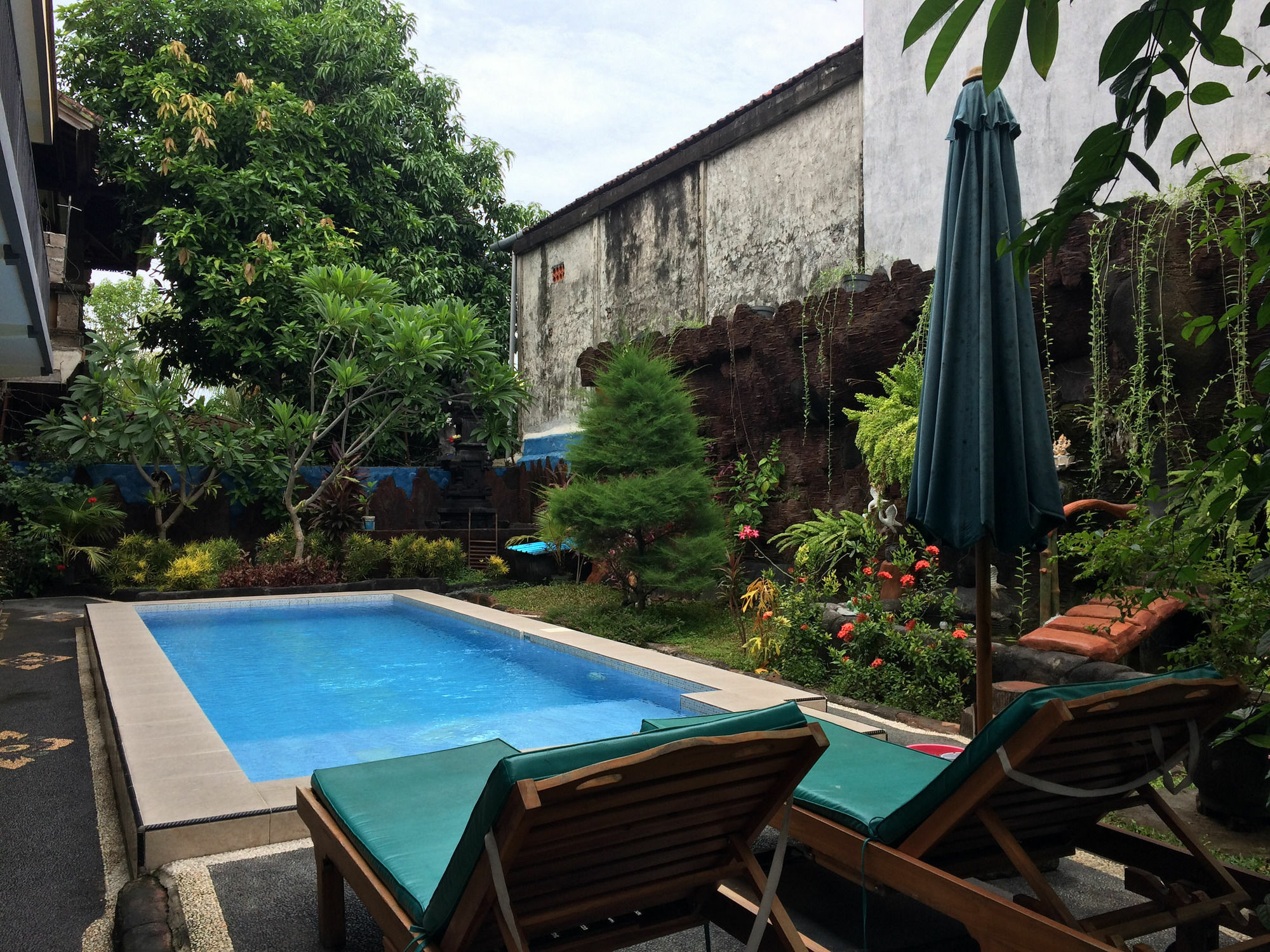 Jenny Bunker Homestay 庫塔 外观 照片